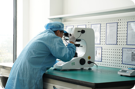 Servicios de Consultor&iacute;a T&eacute;cnica