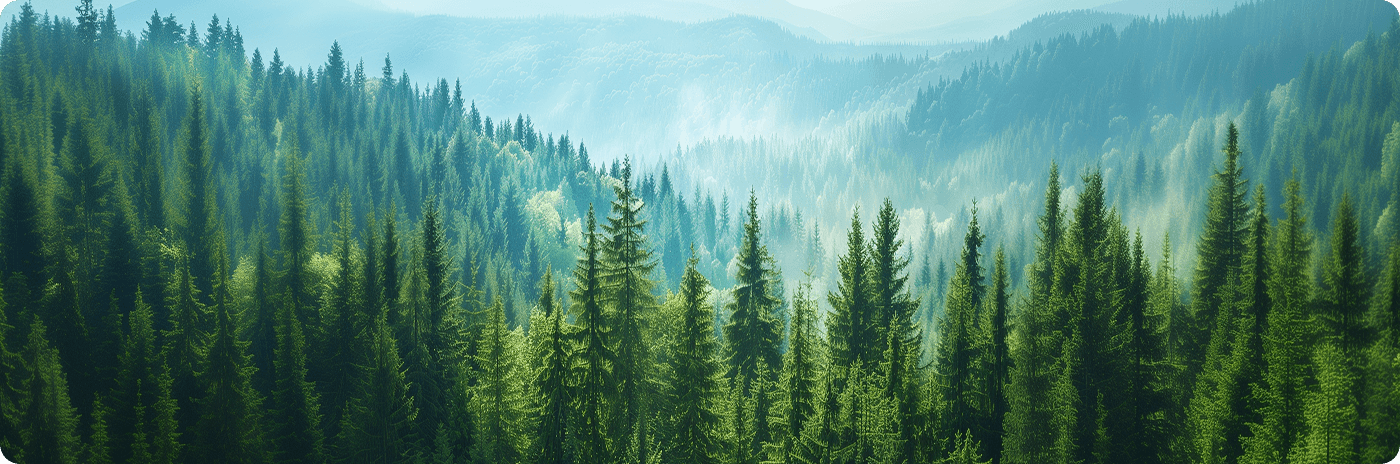 Pr&aacute;ctica dedicada a nuevas energ&iacute;as ESG: